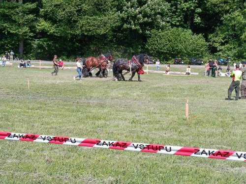 IMG_20260523_151411